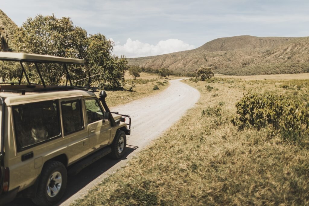 Tanzania Safari